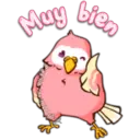 Pink Parrot 2 15