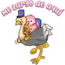 Pink Parrot 2 12