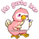 Pink Parrot 2 24