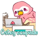 Pink Parrot 2 26