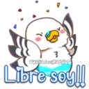 Pink Parrot 2 14