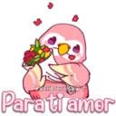 Pink Parrot 2 17