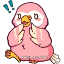 Pink Parrot 2 6