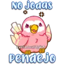 Pink Parrot 2 28