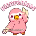 Pink Parrot 2 9