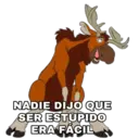 Tierra de Osos 12