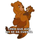 Tierra de Osos 15