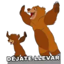Tierra de Osos 18