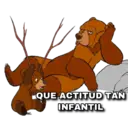 Tierra de Osos 6