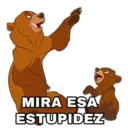 Tierra de Osos 7