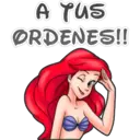 A TUS
ØRDENES!!