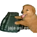 jaja así es