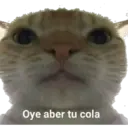 Oye aber tu cola h
