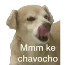 Mmm ke chavocho