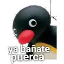 ya bañate puerca