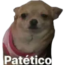 Patético