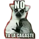 NO YA LA CAGASTE MEMBOROSI