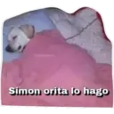toaparitic Simon orita lo hago