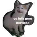 yo feliz pero nerviosa