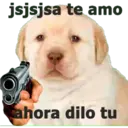 jsjsjsa te amo ahora dilo tu