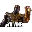 YA VINE