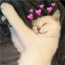 Animalitos 10