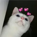 Animalitos 29