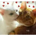yo
Omeowpostin
tú