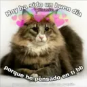 Hoy ha sido un buen día
gatitoemotivo
porque he pensado en tí bb
y me he tocado, pero sólo un poquito
