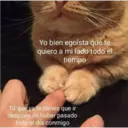 Yo bien egoísta que te
quiero a mi lado todo el
tiempo
Tú que ya te tienes que ir
después de haber pasado
todo el día conmigo