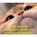 Este dia me
encuentro triste xfa
dime cosas bonitas