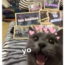tus besitos
tu carita
tus
abrazos
af.culiao
yo
tu potito
tu
amor
tus caricias