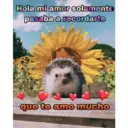 Hola mi amor solamente
pasaba a recordarte
que te amo mucho
TRASH