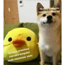 Tu toda preciosa
con una boquita
toda hermosa uwu
Yo bien contento
siendo tu novio bb