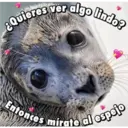 ¿Quieres ver algo lindo?
TASK
Entonces mirate al espejo