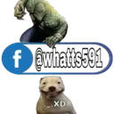 f @whatts591 ._.XD