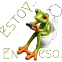 Monkey & frogs 7