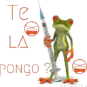 Monkey & frogs 11