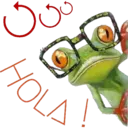 Monkey & frogs 17
