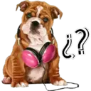 Girls & Dogs 21