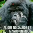 MeMes PaRa GruPos 18