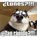MeMes PaRa GruPos 9