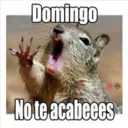 MeMes PaRa GruPos 2
