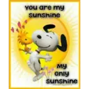 You are my
sunshine
му
only
sunshine