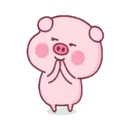 Pink Pig 16