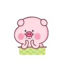 Pink Pig 17