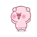 Pink Pig 8