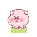 Pink Pig 12
