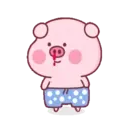 Pink Pig 23