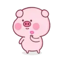 Pink Pig 20